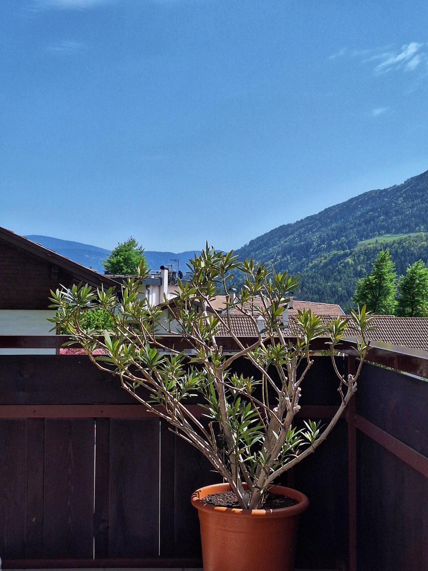 Bed and Breakfast Cafe Rudi Living Partschins Exterior foto